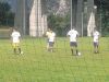 Preparazione 2014